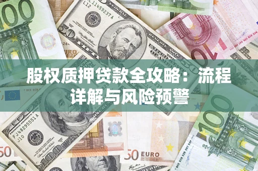 北京股权质押贷款全攻略：流程详解与风险预警