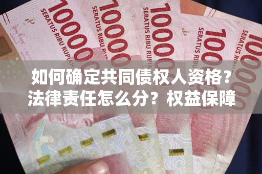 北京如何确定共同债权人资格？法律责任怎么分？权益保障技巧揭秘！