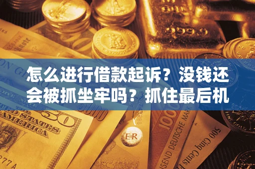 北京怎么进行借款起诉？没钱还会被抓坐牢吗？抓住最后机会！