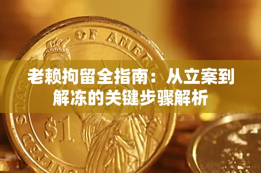 北京老赖拘留全指南：从立案到解冻的关键步骤解析