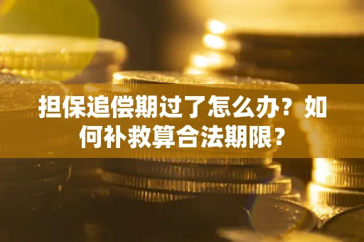 北京担保追偿期过了怎么办？如何补救算合法期限？