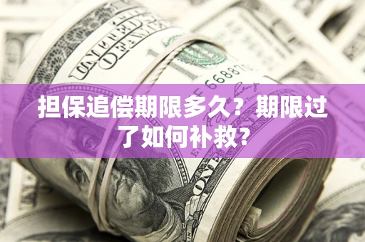 北京担保追偿期限多久？期限过了如何补救？