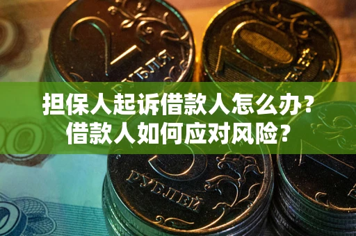 北京担保人起诉借款人怎么办？借款人如何应对风险？