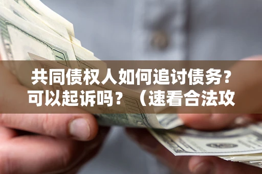 北京共同债权人如何追讨债务？可以起诉吗？（速看合法攻略）